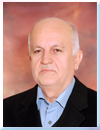 hamedi2.jpg